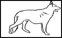 Comment dessiner Chiens Dessin Tutoriels & amp; Dessin & amp; Comment tirer les leçons Chiens et Chiots Dessin étape par