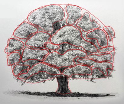 Wie zeichnet Bäume