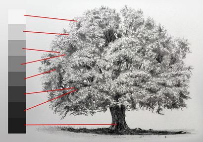 Wie zeichnet Bäume