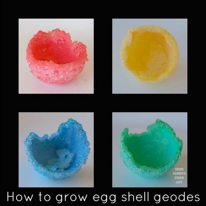Wie man einen Kristall Geode mit Eierschalen wachsen