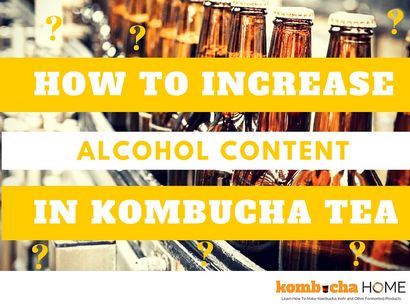 Wie Alkoholgehalt von Kombucha Tee, Kombucha Haus steigern