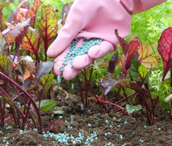 Comment garder votre pelouse et le jardin vert, Bug-gratuit