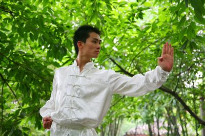 Wie Kung Fu zu Hause lernen