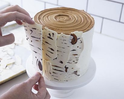 Comment faire un gâteau Birch Tree - Étape x Étape Cakegirls