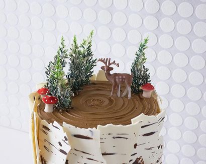 Comment faire un gâteau Birch Tree - Étape x Étape Cakegirls