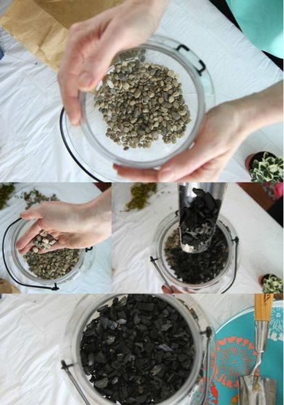 Wie ein DIY Terrarium Make - Kenmore® Gemeinschaft