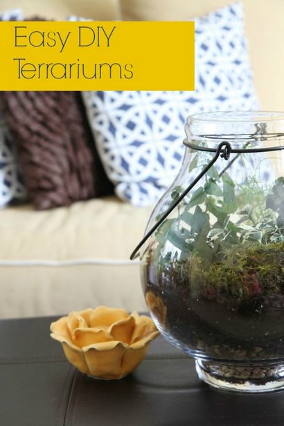 Comment faire un bricolage Terrarium - Communauté Kenmore®