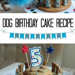 Comment faire un gâteau d'anniversaire Doggie - Irresistible Animaux
