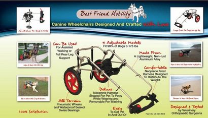 Comment faire un fauteuil roulant pour chien Un guide complet pour un projet de bricolage utile