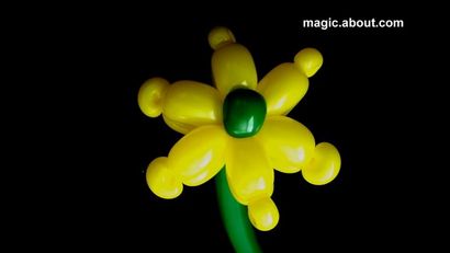 Wie man eine Blume Balloon - Version 3, Intro