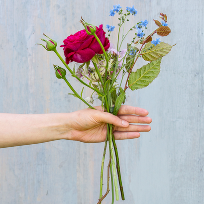 Comment faire un bouquet de fleur de main-Tied, DK Explorez