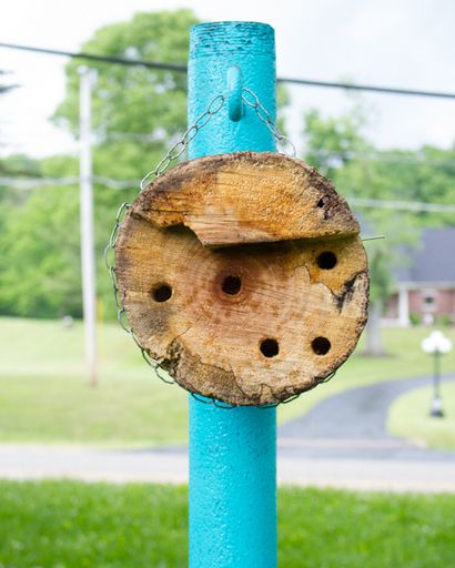 Wie ein hängenden Maurer Bee Haus zu machen - eine grüne Welt Crafting