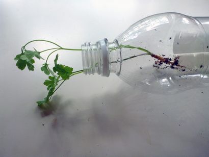 Comment faire un planteur accroché avec une bouteille de soda en plastique recyclé comment faire un planteur de bouteille de boisson gazeuse