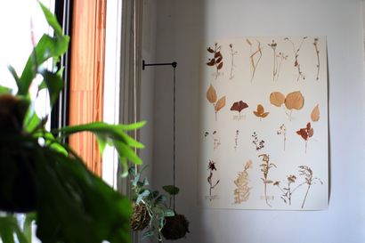 How-To ein Herbarium Make - Biophilie Magazin - Medium