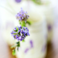 Comment faire une couronne Hydrangea