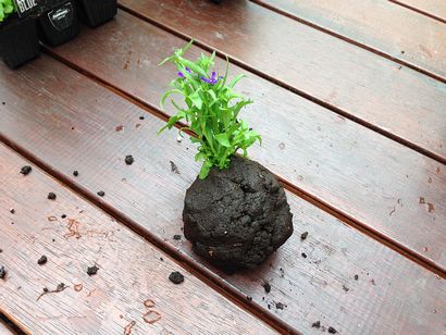 Comment faire un KOKEDAMA (Moss Hanging aka Ball) - L'amour de Dirt_1