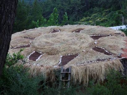 Wie man einen Living Roof (Selbst in einem heißen, trockenen Klima) - Green Homes - Mutter Erde Nachrichten