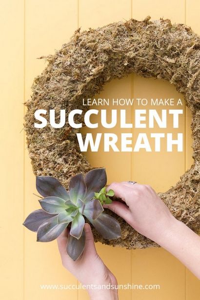 Comment faire un séjour Succulent Couronne - Succulentes et soleil