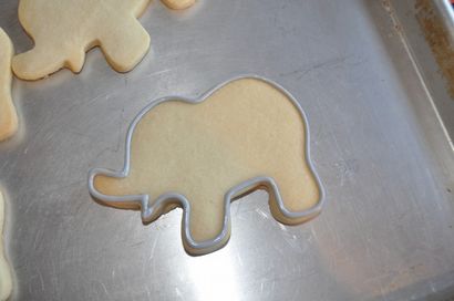 Comment faire un éléphant Cookie, Suz quotidien