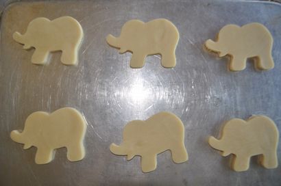 Comment faire un éléphant Cookie, Suz quotidien