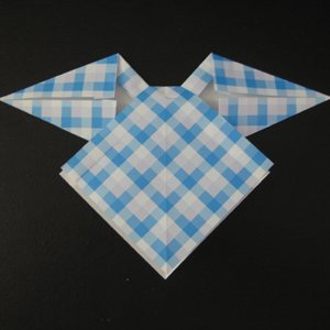 Comment à faire un origami (Open pli papier) Comment à faire un Origami