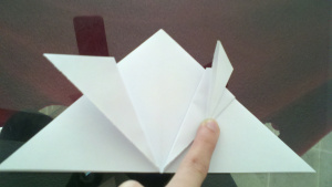 Comment faire une grenouille Origami, papercanyons
