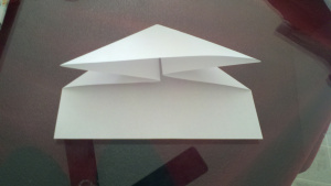 Wie man einen Origami-Frosch, papercanyons