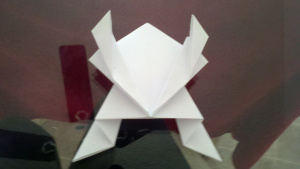 Comment faire une grenouille Origami, papercanyons