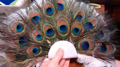 Comment faire une plume de paon Fan Bouquet