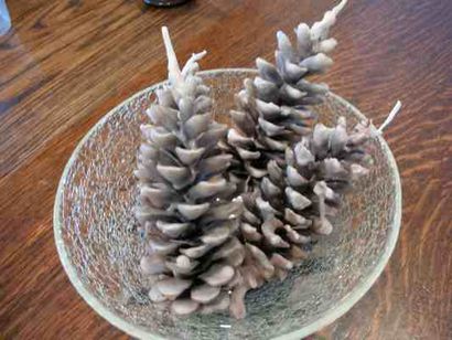 Comment faire un Pinecone Allume-feu