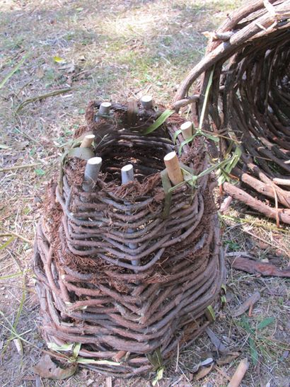 Wie man einen Primitive Funnel Fischfalle - Bio Prepper