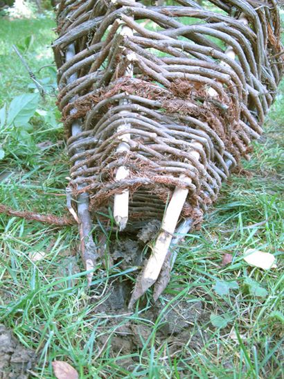 Wie man einen Primitive Funnel Fischfalle - Bio Prepper