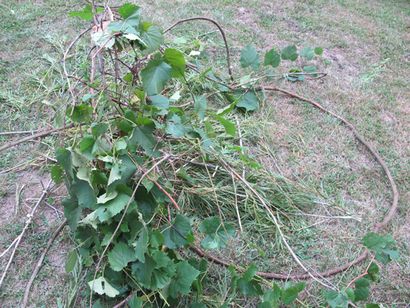 Wie man einen Primitive Funnel Fischfalle - Bio Prepper