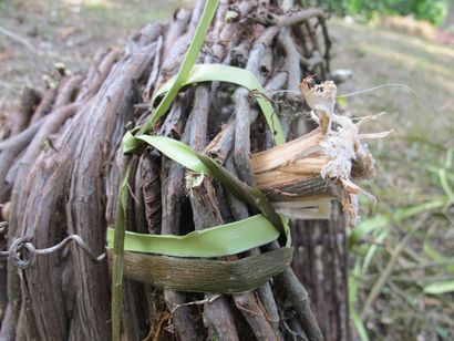 Comment faire un poisson primitif Entonnoir piège - Bio Prepper