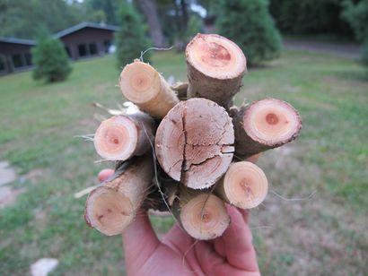 Wie man einen Primitive Funnel Fischfalle - Bio Prepper