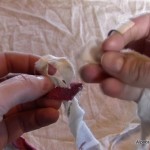 Comment faire un tapis Rag (Tapis) Brosse à dents AlpacaBytes - Creux Dutch Acres