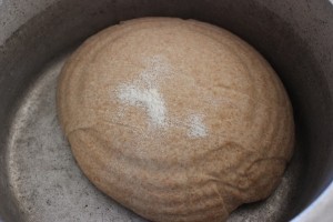 Comment faire un - réel - Sourdough épeautre Pain