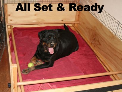 Comment faire une boîte de mise bas rottweiler, articles de rottweiler, rottweiler informations, côte ouest