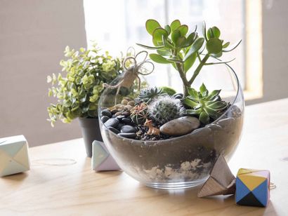 Comment faire un Terrarium autonome