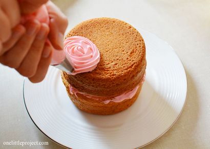 Wie man einen Smash-Kuchen für einen ersten Geburtstag machen