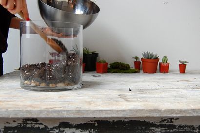 Comment faire un Terrarium (et le garder vivant), HuffPost