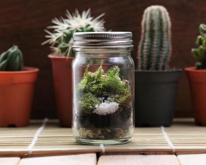 Comment faire un Terrarium DIY Succulent Terrarium