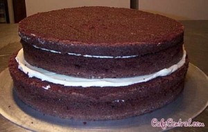 Comment faire un gâteau Lunatique à l'envers