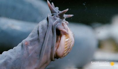 Comment faire Impressionnant bulles de savon congelés sans avoir à braver le froid, intelligent Nouvelles, Smithsonian