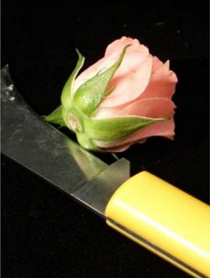 Wie ein HandgelenkCorsage Make - Schnelle und einfache Blume Tutorial