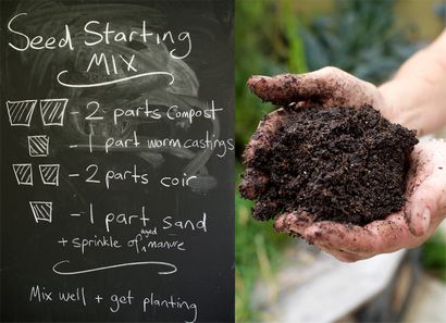 Wie machen Beste Seed haupt Raising Mix