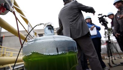 Wie man Biokraftstoff mit Algen, Sciencing