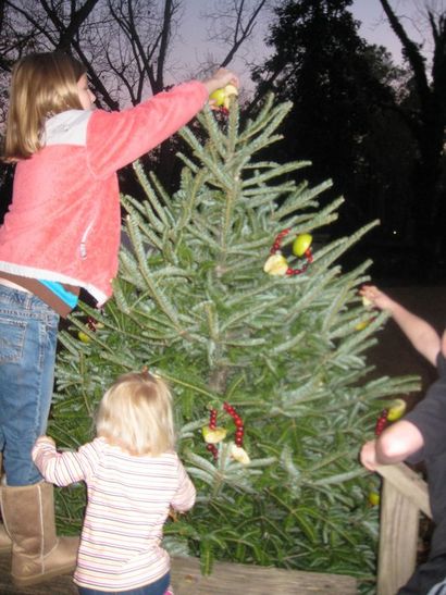 Comment faire Birdseed Ornaments_1