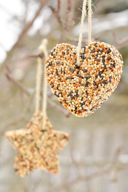 Wie man Birdseed Ornamente, Easy Birdseed Ornaments Rezept