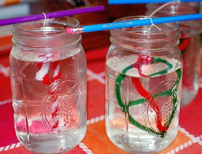 Wie man Borax Kristall-Verzierungen und Sun Catchers - Natur Moms Blog - Natur Moms